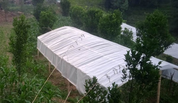 कृषिमा कम भविष्य देख्नेका लागि...   