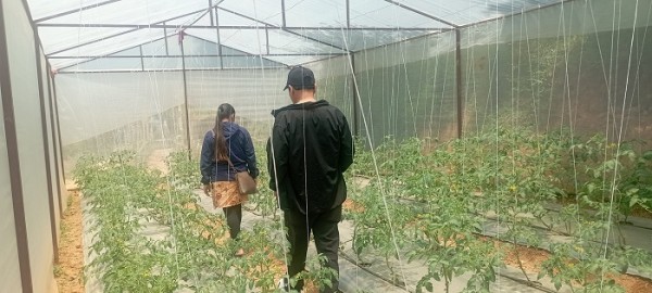 ‘हाइटेक टनेल’ बनाउन दुई करोडभन्दा बढी अनुदान   