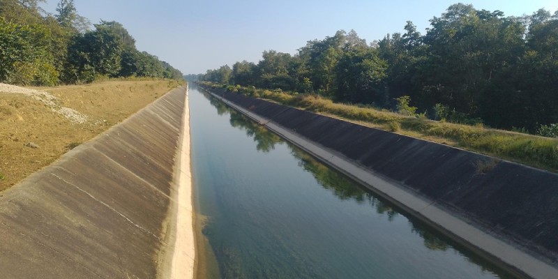 वन्यजन्तुमैत्री छैन सिक्टाको पश्चिमी मूलनहर