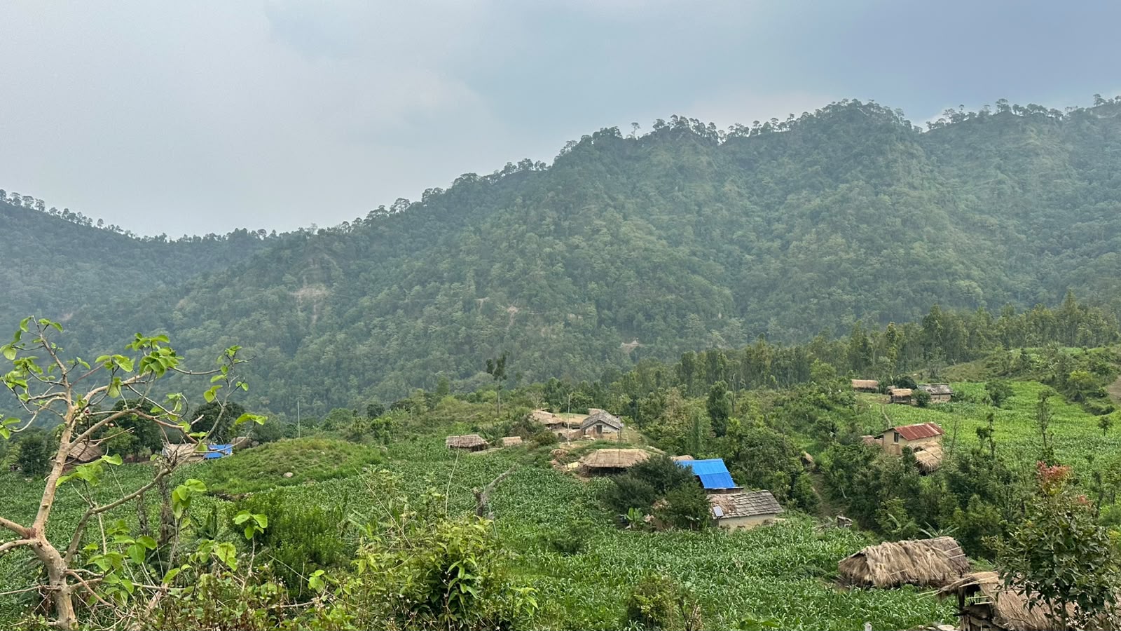 भौतिक विकासको पर्खाइमा पलगडी गाउँ