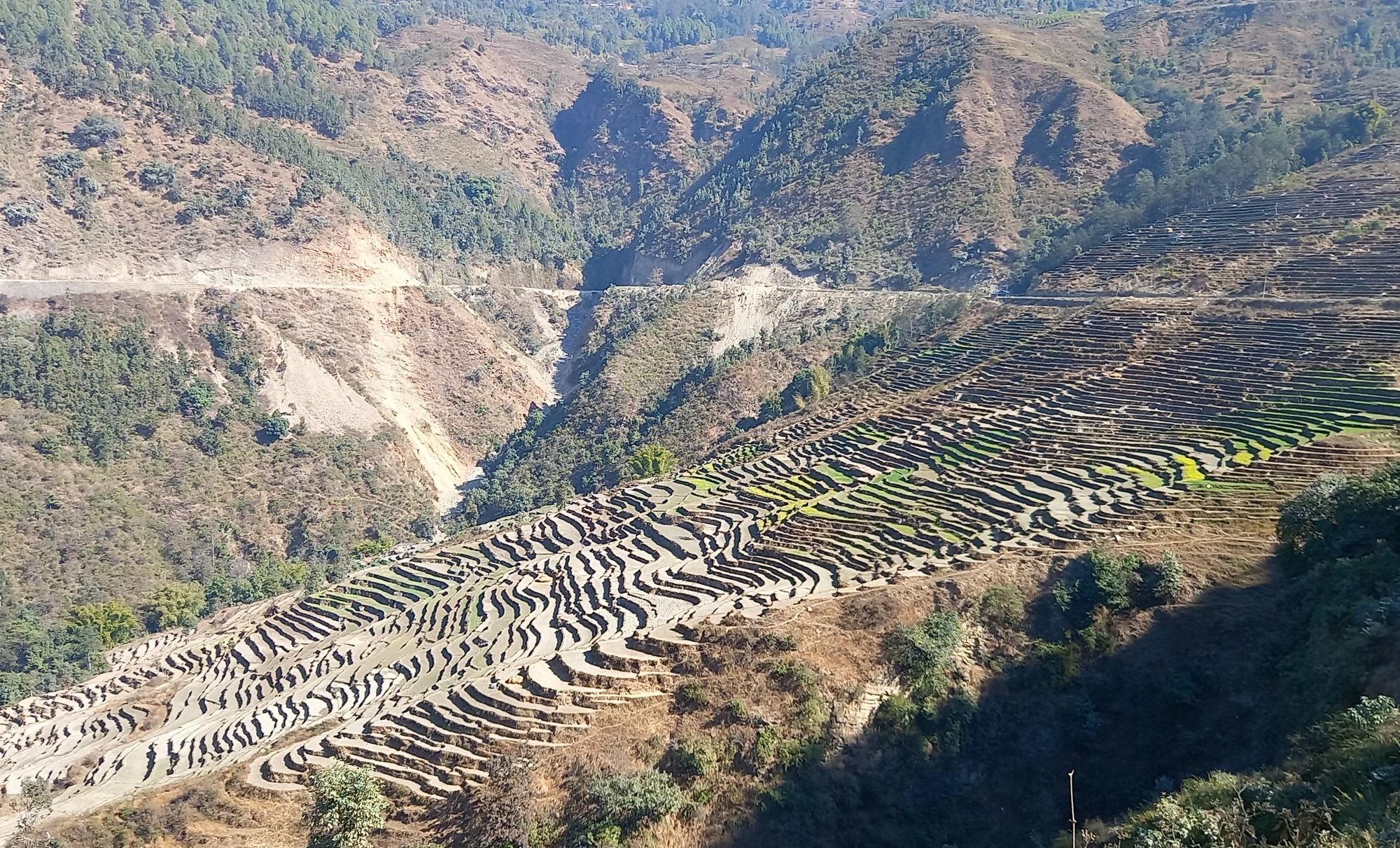 भुम्लुको लालपुर्जाविहीन समस्या अन्त्य गरिँदै   