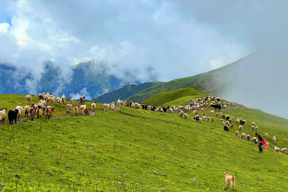 पदयात्राका लागि उत्कृष्ट गन्तव्य बन्दै ‘बुकीपाटन’    