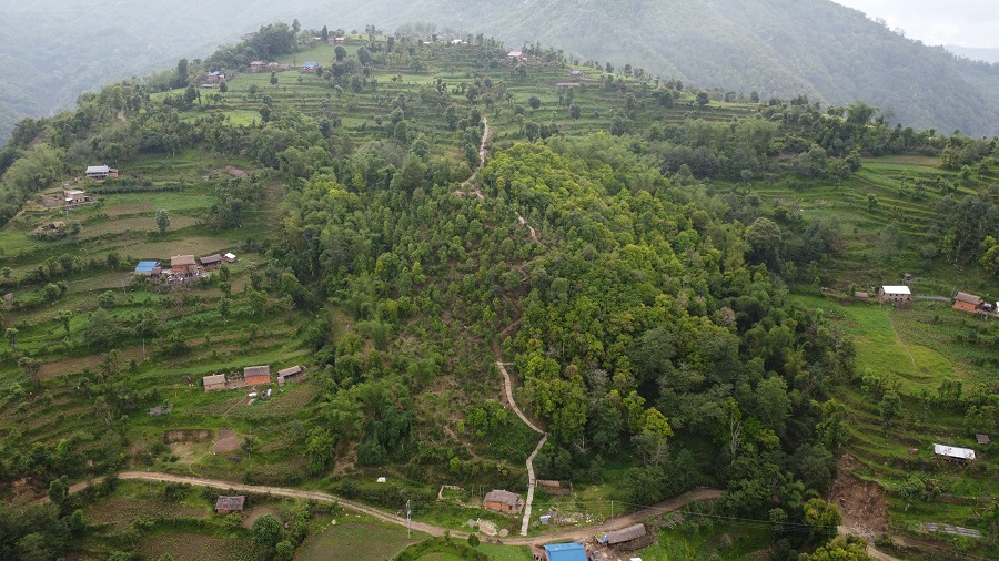 भोजपुरको वाक्चाखामा ‘जाल्पादेवी गुराँस पदमार्ग’ निर्माण   