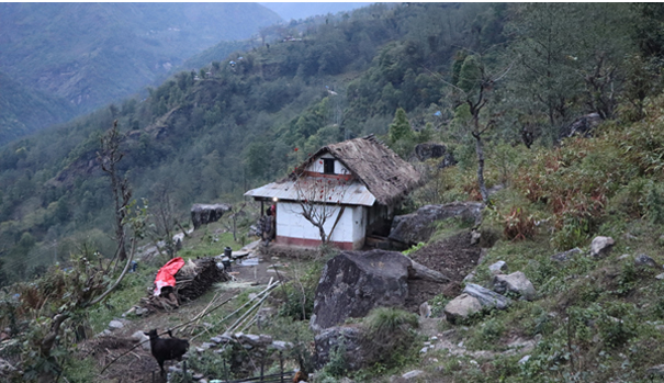 हावाहुरीसँगै वर्षा हुन थालेपछि...   