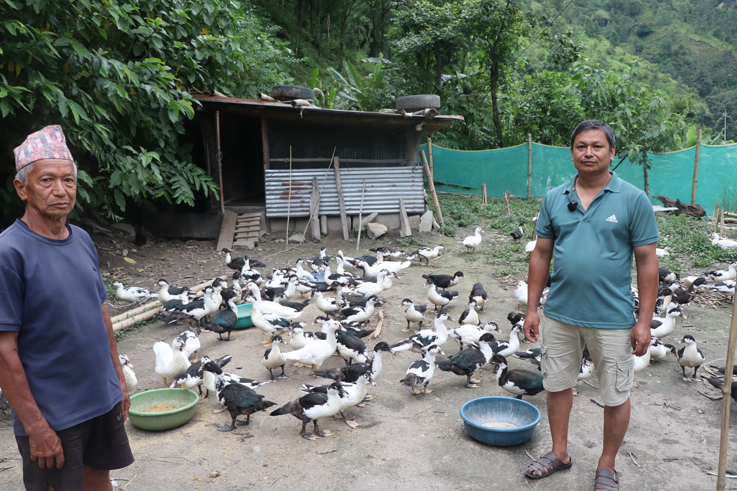 सहरबाट गाउँ फर्किएर हाँसपालन गर्दै चिरञ्जीवी   