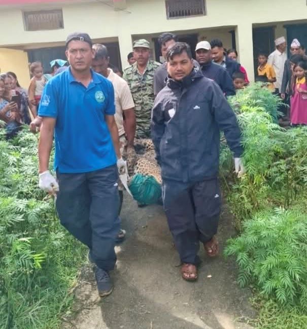 समस्याग्रस्त वन्यजन्तु नियन्त्रणमा लिन प्राविधिक टोली परिचालन        