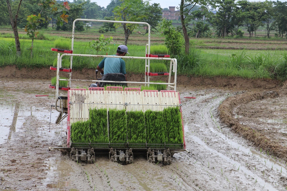 रोपाइँ गर्न आधुनिक प्रविधिको प्रयोग   