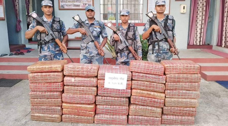 पर्साबाट दुई सय तेह्र किलो गाँजा बरामद    