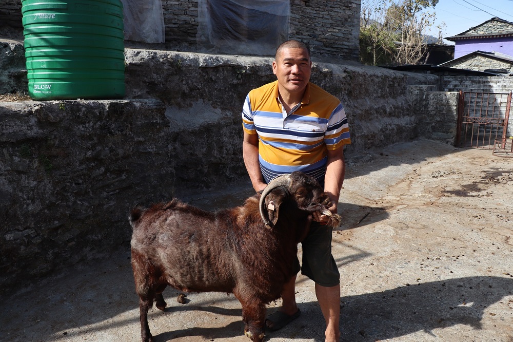 म्याग्दीमा ‘कालाहारी बोयर’ जातको बाख्रा भित्रियो