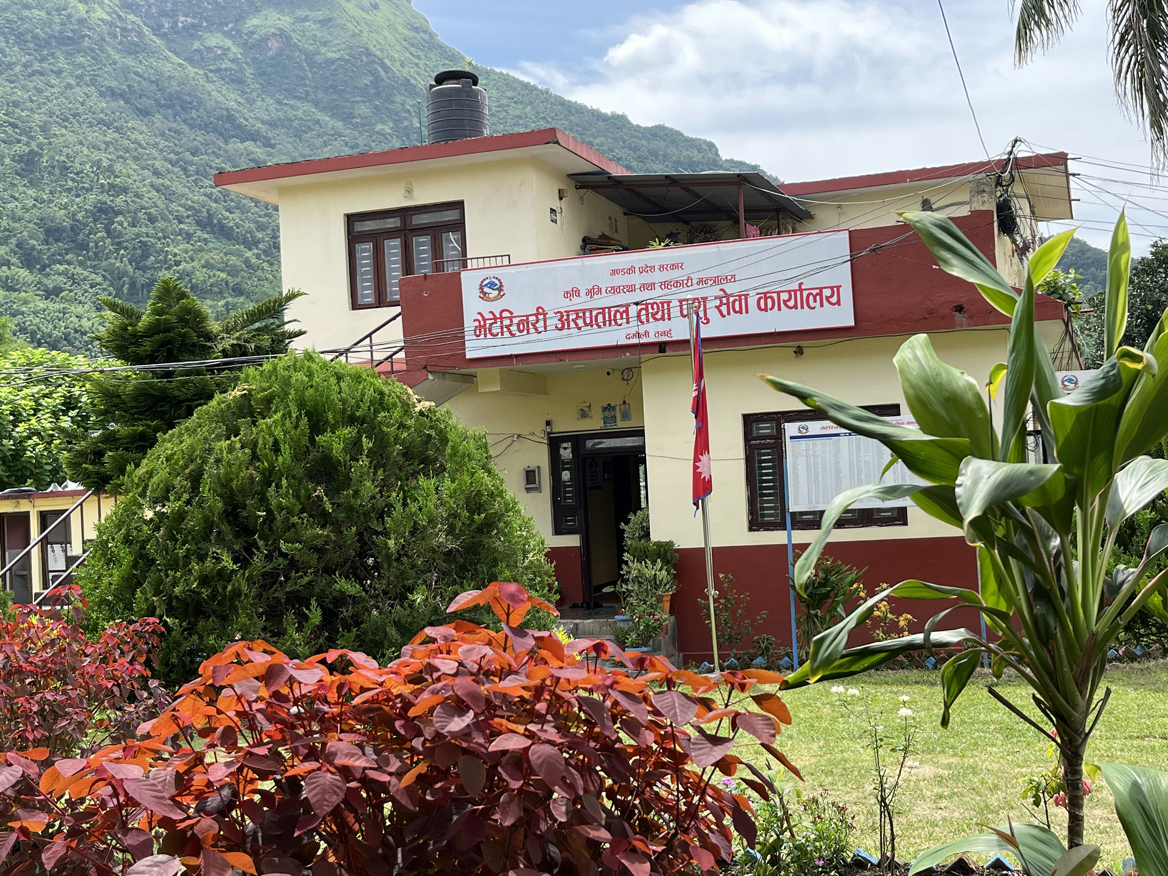 बृहत्तर पशु विकास प्रवर्द्धन कार्यक्रमबाट किसान लाभान्वित   