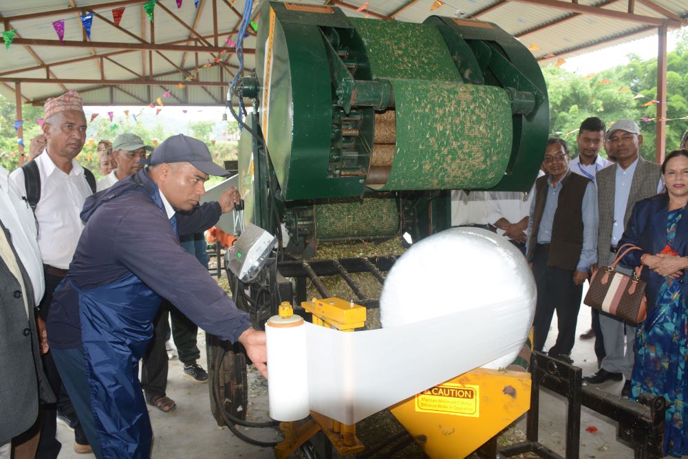 पशुवस्तुलाई पौष्टिक आहार खुवाउन साइलेज उद्योग स्थापना    