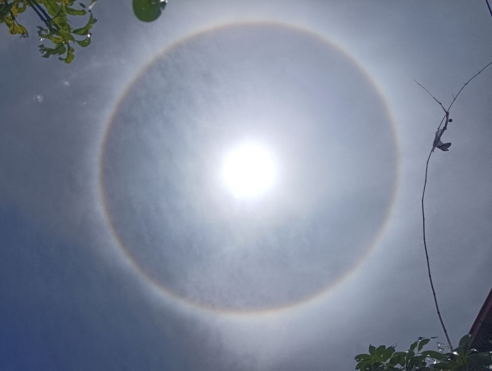 सूर्य ग्रहण हैन सूर्य वलय