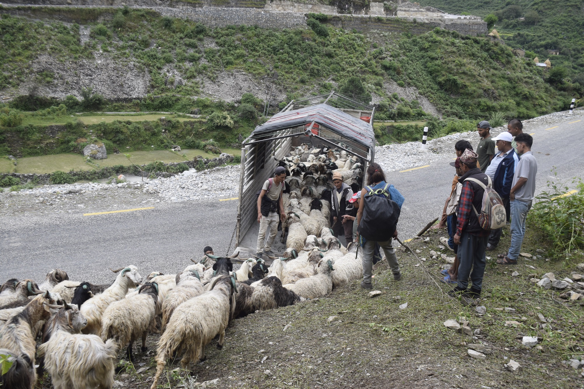 सहरको स्वादका लागि छुट्छ हिमालको दसैँ–तिहार   