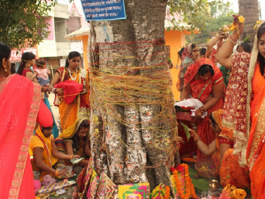 मिथिलाञ्चलमा आज बरसाइत पर्व मनाइँदै   