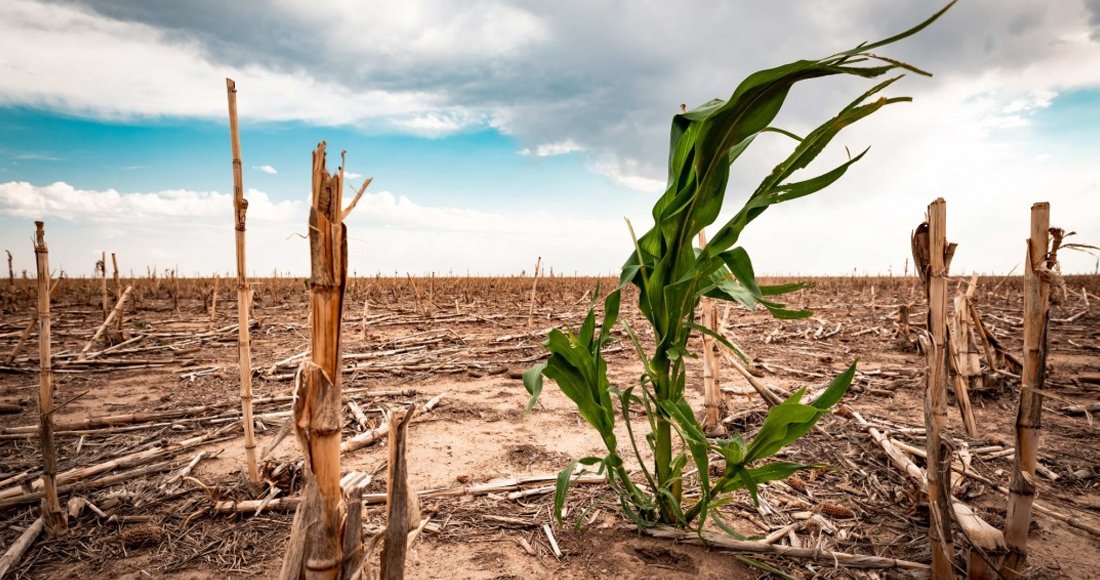 जलवायु परिवर्तनले लाखौँ विस्थापित : युएनएचसीआर    