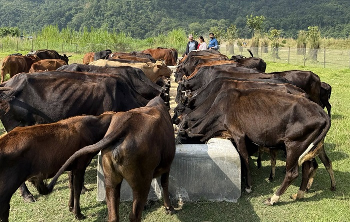 ‘दाता’ को सहयोगले गौ संरक्षण केन्द्र सञ्चालनमा सहज