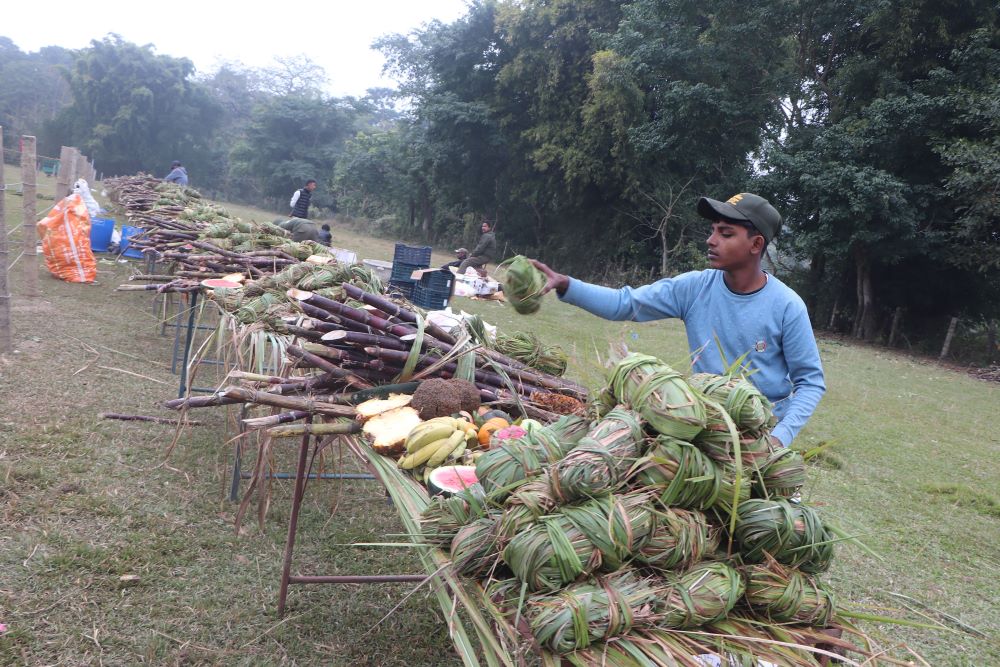 हात्ती पूजा गरी वनभोज खुवाइयो    