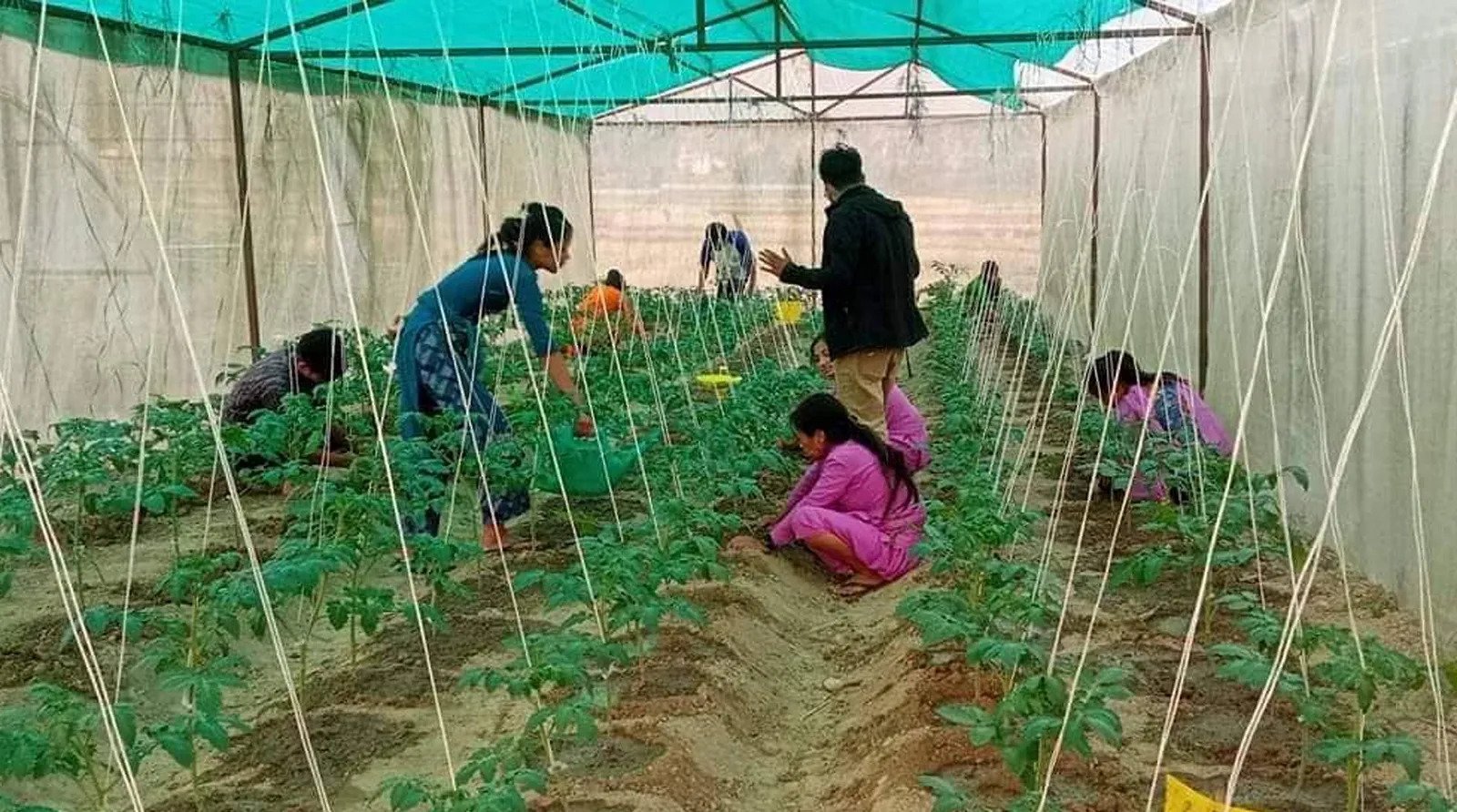नीति तथा कार्यक्रम: आत्मनिर्भर कृषिमा सहयोग पुग्ने   