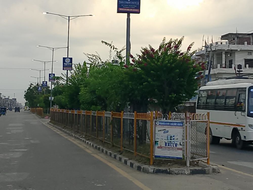 गुलमोहर र बेगमबेलीले सजिँदै नेपालगञ्ज        