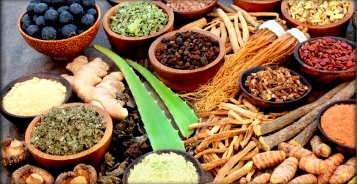 आर्थिक समृद्धिको आधार जडीबुटी : प्रशोधन र ‘ब्रान्डिङ’मा जोड        