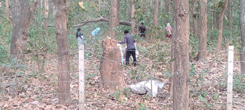 पतझरमा किसानलाई पतिंगर सोहोर्ने चटारो    