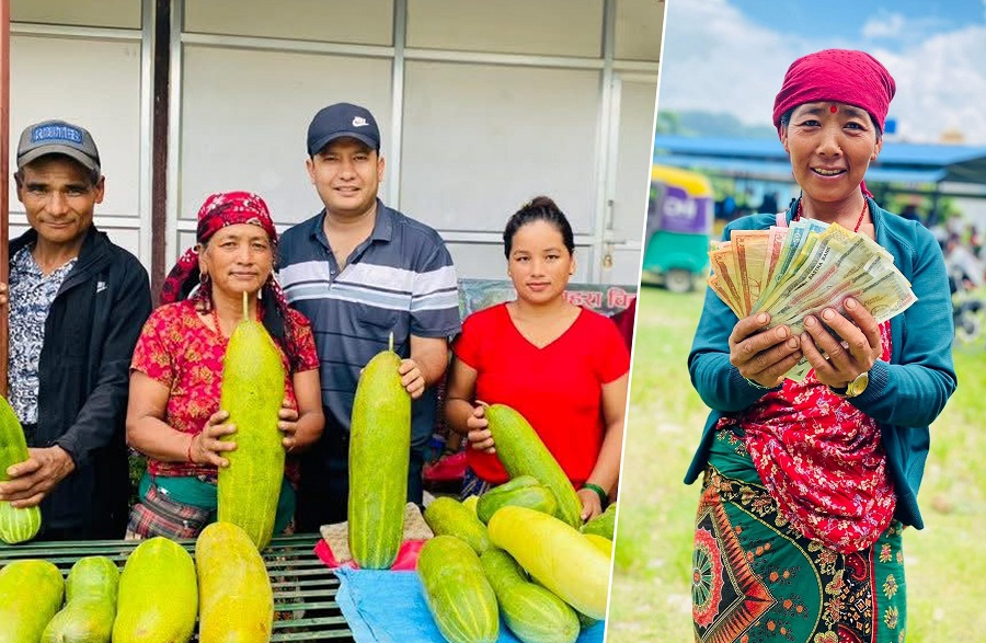 मादले काँक्रोखेतीतर्फ आकर्षण बढ्दै   