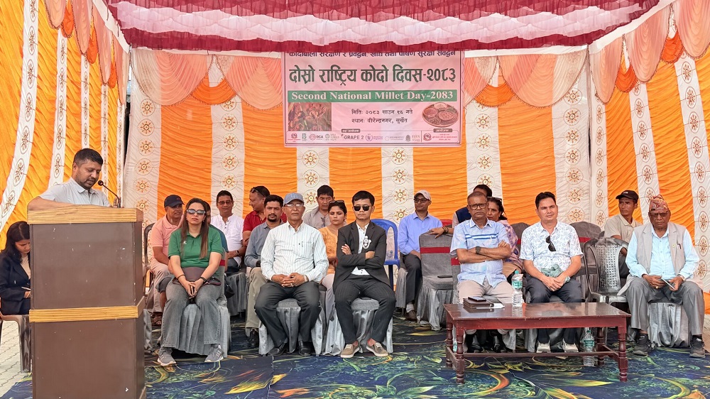 दोस्रो राष्ट्रिय कोदो दिवसः कोदोप्रति दृष्टिकोण बदल्न जरुरी छ
