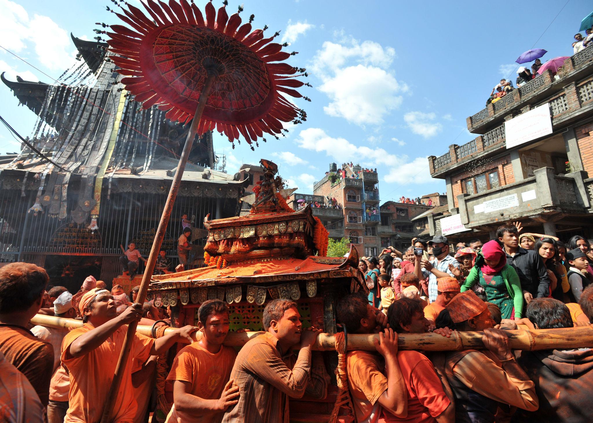 थिमिमा कुभिण्डो काट्नेबित्तिकै खोसाखोस, टुक्रा लैजान तँछाडमछाड