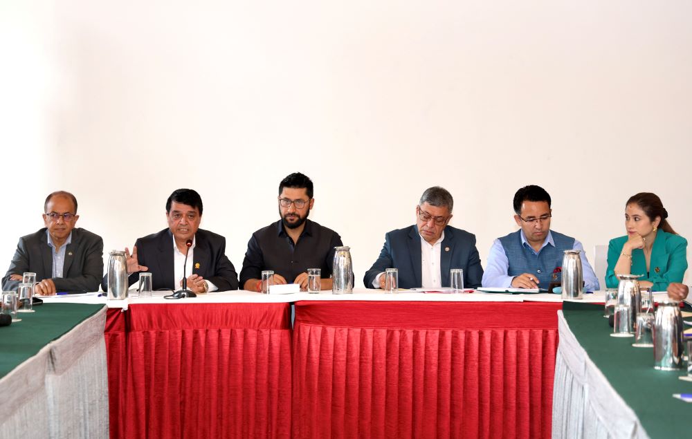 सरकारले व्यवसायीलाई दुःख दिँदैन : रास्वपा सभापति लामिछाने    