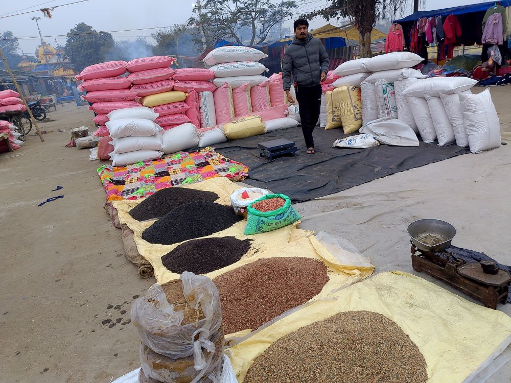 मिथिलाञ्चलमा माघे सङ्क्रान्तिको भव्य तयारी गरिँदै    