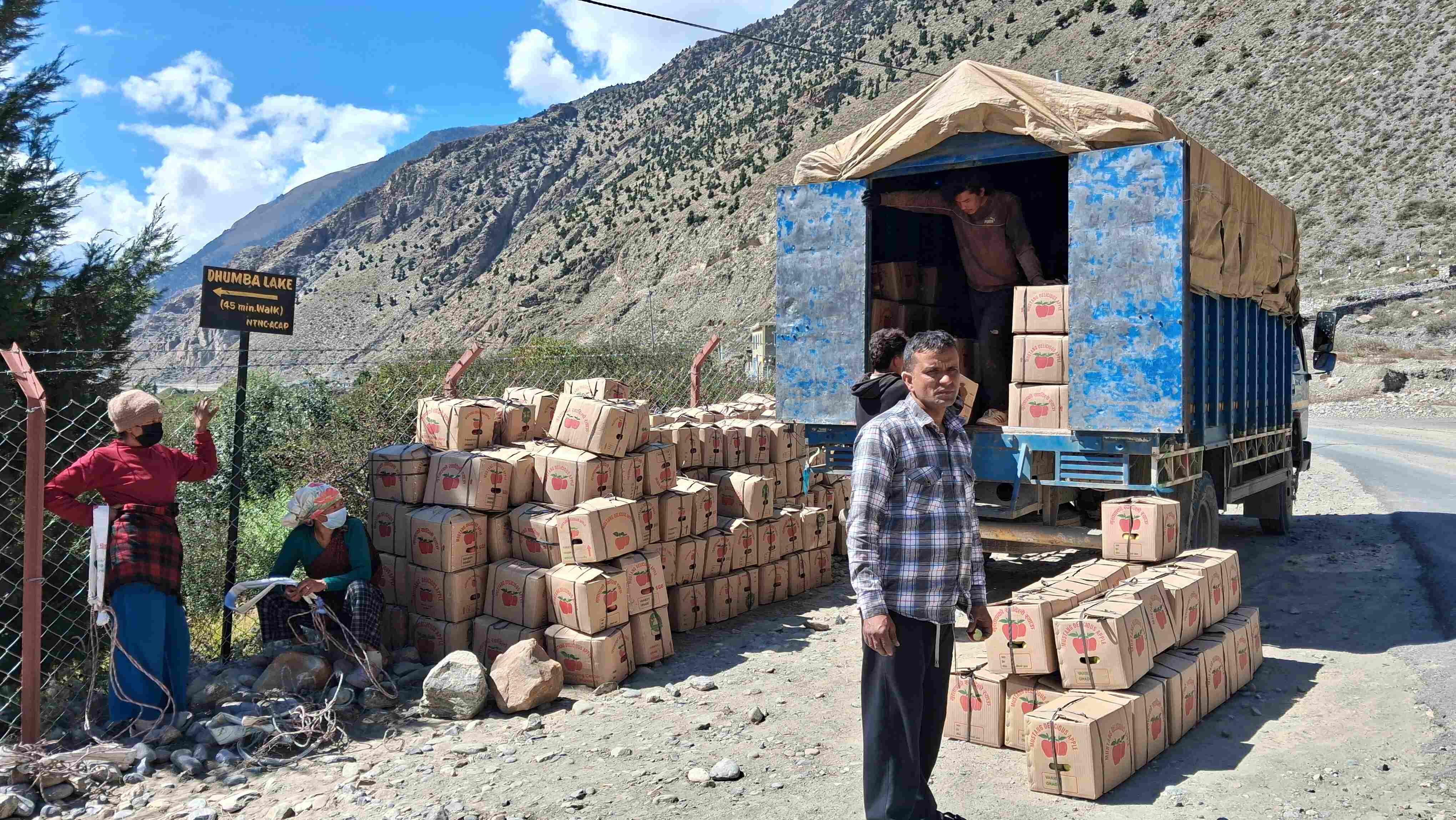 मुस्ताङको स्याउ बजारमा पुर्‍याउन ढिलाइ, हालसम्म ३० प्रतिशतमात्र निकासी