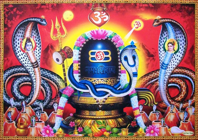 आज नागपञ्चमी पर्व, नागको पूजाआजा गरिँदै मनाईँने