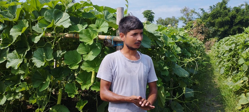 मौसमी सागसब्जी बेचेर मासिक दुई लाख आर्जन   