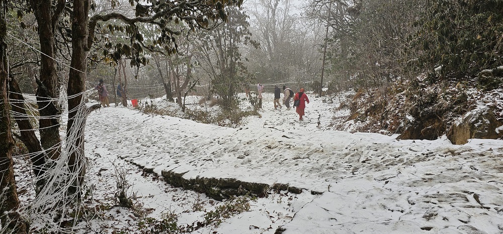 पाथीभरा क्षेत्रमा हिमपात   