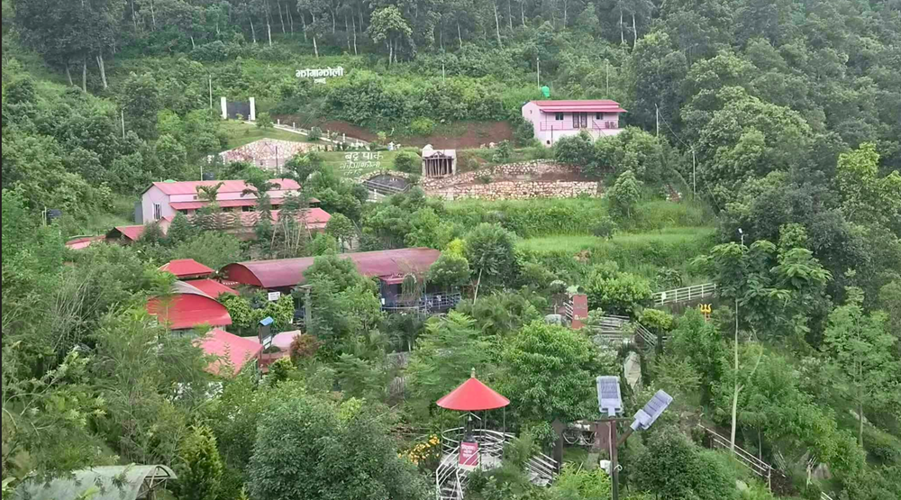 जडीबुटी उद्यान अवलोकन गर्न तनहुँको झाङ्गाझोली   