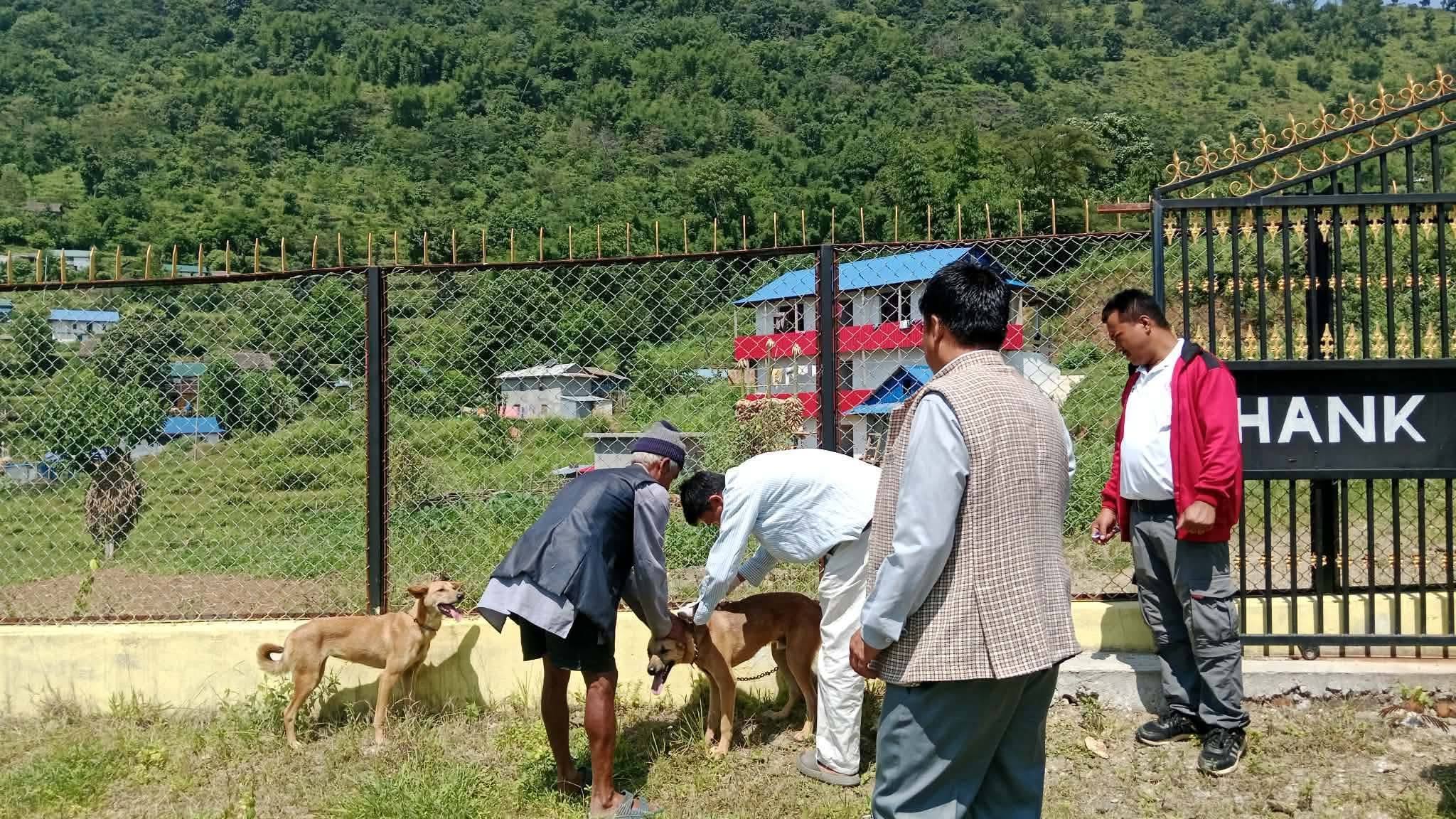 सानोदुम्मामा विशेषज्ञसहितको पशु स्वास्थ्य शिविर सञ्चालन   