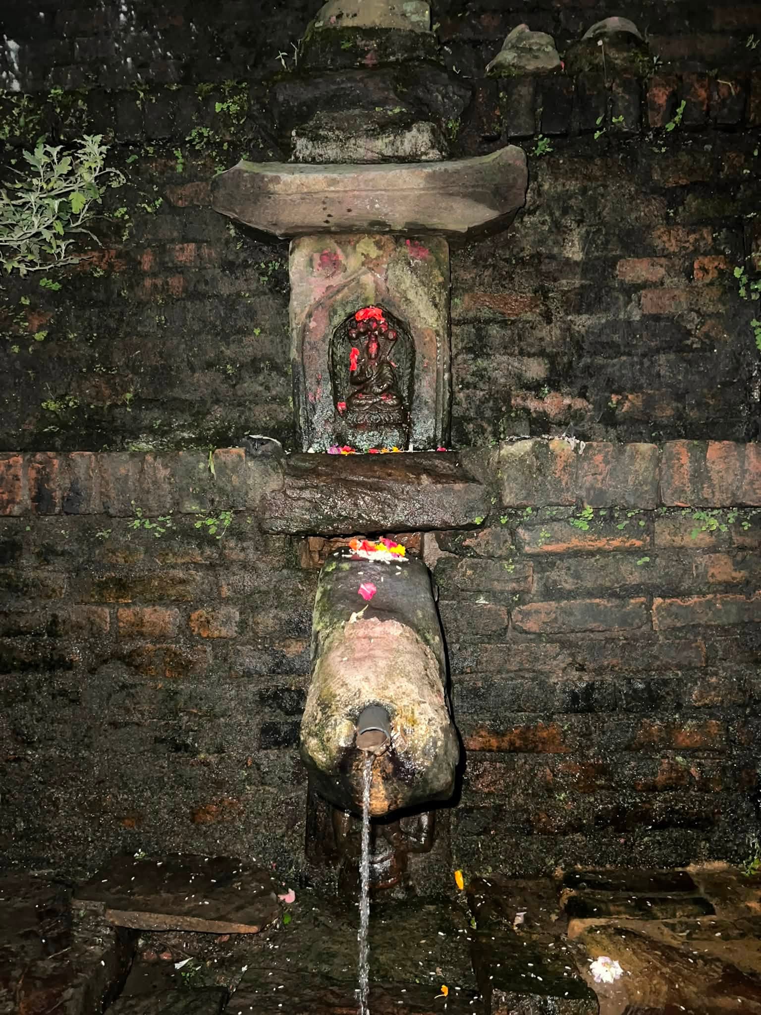 गाईजात्रामा भक्तपुरका पूर्व फर्केका नौ वटा ढुङ्गेधारा खोज्दै नयाँ पुस्ता   