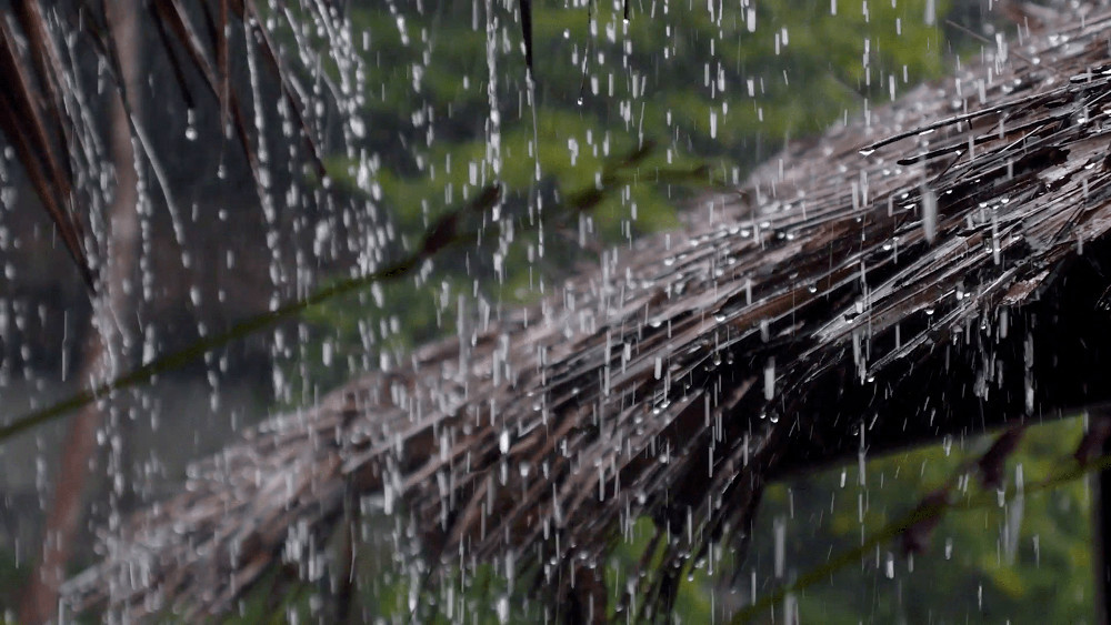 हिउँदे बर्सातले किसानमा खुसी    