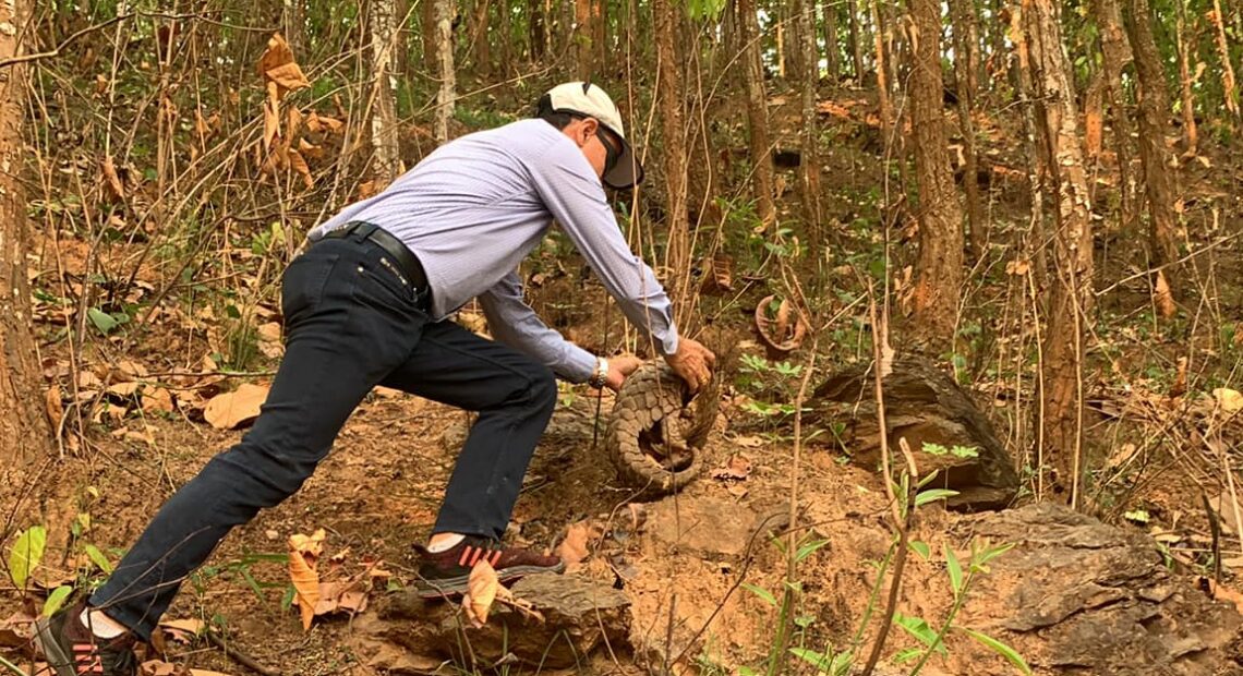 बाँकेमा १५६ वटा वन्यजन्तुको उद्धार    